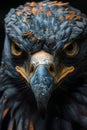 Close up of an eagles face against a dark background Royalty Free Stock Photo