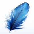 A detailed closeup of a bright blue feather against a white backdrop highlighting the delicate structure and flowing lines of Royalty Free Stock Photo