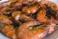 Detailed Closeup of Garlic Shrimps bathed in Chili Sauce. A variation of Gambas al Ajillo Royalty Free Stock Photo