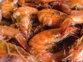 Detailed Closeup of Garlic Shrimps bathed in Chili Sauce. A variation of Gambas al Ajillo Royalty Free Stock Photo