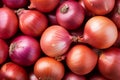 Detailed Closeup onions. Generate Ai