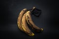 Detailed closeup view of old stained expired banana fruits