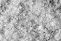 Detailed Coarse Salt Texture Background Royalty Free Stock Photo