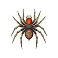 Detailed Color Illustration of Geolycosa Arachnid Royalty Free Stock Photo