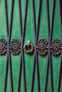 Detailed, Colored Door Photo, Close Up