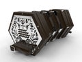 Detailed concertina Royalty Free Stock Photo