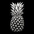 Detailed Cross-hatched Pineapple Stencil On Black Background