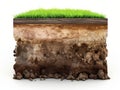 Cross Section of Soil Layers with Grass Royalty Free Stock Photo