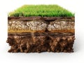 Soil Layers Cross Section with Grass Royalty Free Stock Photo
