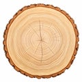A detailed cross-section of a tree trunk with visible rings Royalty Free Stock Photo