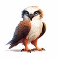 Detailed 2d Illustration Of A Cute Osprey Hawk On White Background