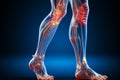 Detailed 3D medical figure, spotlighting knee and ankle bones of male physiology