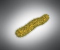 Detailed 3d medical illustration of virusesm bacteria on grey ba