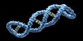 Detailed 3D Model of Human DNA Helix Blue Genetic Code cell life double strand spiral genome thread Royalty Free Stock Photo