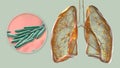 Human lungs affected by miliary tuberculosis, and close-up view of Mycobacterium tuberculosis, 3D illustration Royalty Free Stock Photo