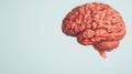 Detailed 3D Render of an Artistic Human Brain on a Light Background Highlighting Cognitive Function and Structure Royalty Free Stock Photo