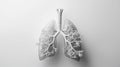 A detailed 3D render of human lungs and airways on a plain background, focusing on respiratory anatomy