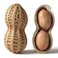 Two Peanuts One Shelled and One Open Revealing Two Kernels on White Background legume food Royalty Free Stock Photo