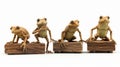 Detailed 3d Rendering Of Frogging Frogs On Wooden Blocks Royalty Free Stock Photo