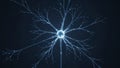 Illuminated Neuron Cell Structure in Blue Glowing Background Royalty Free Stock Photo