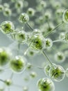 Detailed 3d rendering of interconnected transparent green spheres representing molecular structure in a scientific and Royalty Free Stock Photo