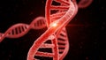 Red DNA Strand with Highlighted Section on Black Background Royalty Free Stock Photo