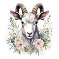 Detailed Dappled Goat Watercolor Clipart For Digital Painting And Paper Crafting