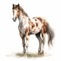 Detailed Dappled Horse Watercolor Clipart For Digital Painting And Paper Crafting