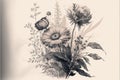 Line art sketch of pretty flowers, vintage illustration