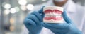 The detailed dental model held by a professional in a clinical environment..AI generated image Royalty Free Stock Photo