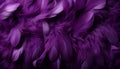 Detailed digital art of purple feathers on textured background, showcasing large bird feathers