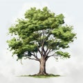 Detailed Digital Drawing Of Tree Under Cloud - Realistic Color Schemes