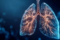 Detailed digital visualization of human lungs highlighting the intricate bronchial tree and airway passages with glowing effects Royalty Free Stock Photo