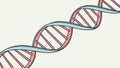 Detailed DNA Double Helix Structure, Genetic Science, vector design Generative AI Royalty Free Stock Photo