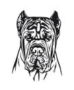 A detailed dog headshot in black and white vector art