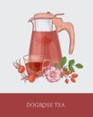 Detailed drawing of glass jug with strainer, cup of tea and dog rose flowers, leaves and red hips or fruits on gray