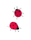 2 cute ladybugs with little black spots