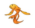 Detailed Elegant Gold Fish Illustration Royalty Free Stock Photo