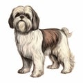 Detailed Engraving Of A Cute Shih Tzu Dog In Elegant Realism