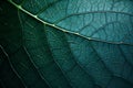 Detailed engraving of a green leaf wallpaper in light emerald