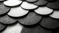 Close-up view of black and white textured scales arranged in a circular pattern, highlighting light and shadow play Royalty Free Stock Photo