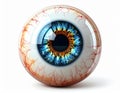 Detailed Eyeball with Blue Iris and Red Veins on White Background Royalty Free Stock Photo