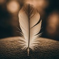 A detailed feather stands upright on a textured surface, likely sand. The feather Royalty Free Stock Photo