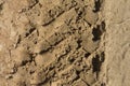 Detailed filled frame background close up shot of car tire tracks, prints and marks on a muddy dusty sand road surface Royalty Free Stock Photo