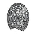 Detailed Fingerprint Illustration Security Identity Identification Concept Art Royalty Free Stock Photo