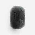 detailed fingerprint pattern displayed, featuring smooth, flowing lines and curves on white background. design highlights Royalty Free Stock Photo