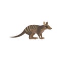 Detailed flat vector icon of Australian numbat. Wild animal with stripes on back. Marsupial anteater. Wildlife theme