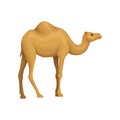 Detailed flat vector icon of Egyptian camel. Desert animal with hump on its back. Element for promo poster or flyer of