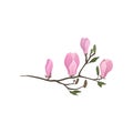 Detailed flat vector icon of flowering branch of magnolia. Twig with small pink flowers. Nature theme