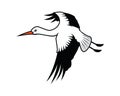 Detailed Flying Stork Illustration